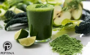 سرو ماچا در کافهها