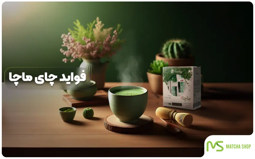 فواید چای ماچا